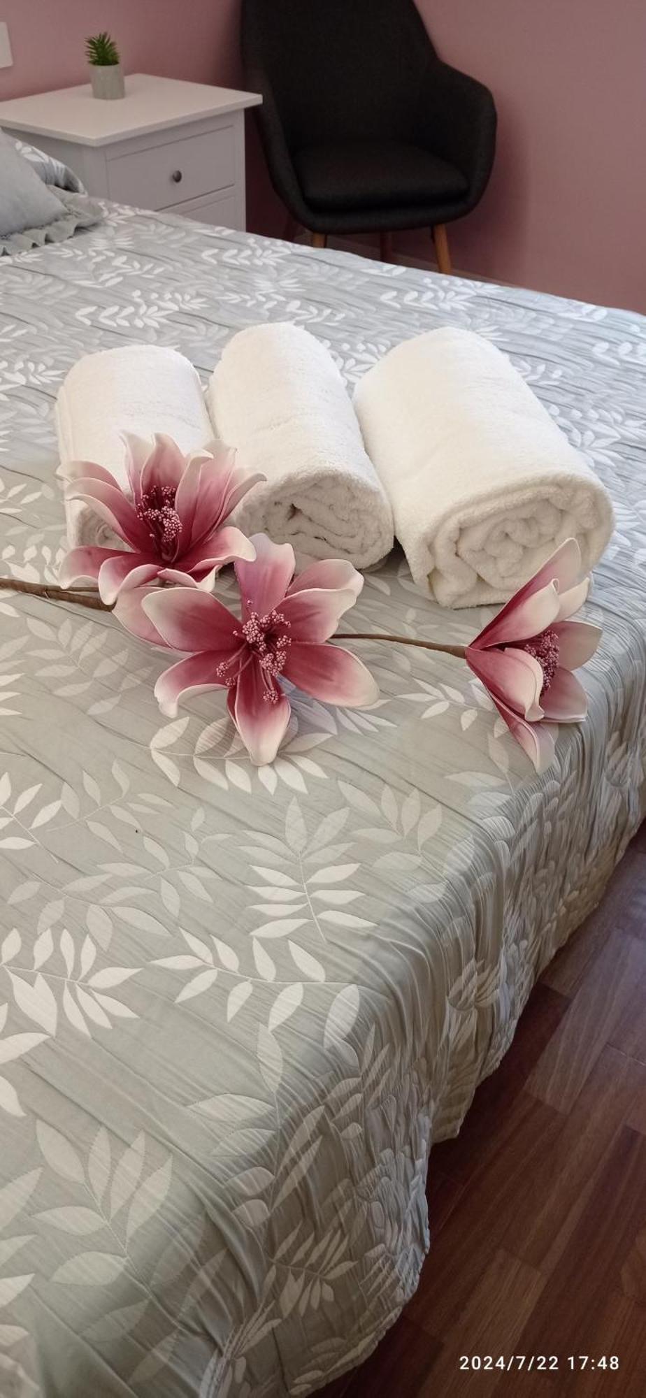Residenza Del Sepale Apartment Viterbo Ngoại thất bức ảnh